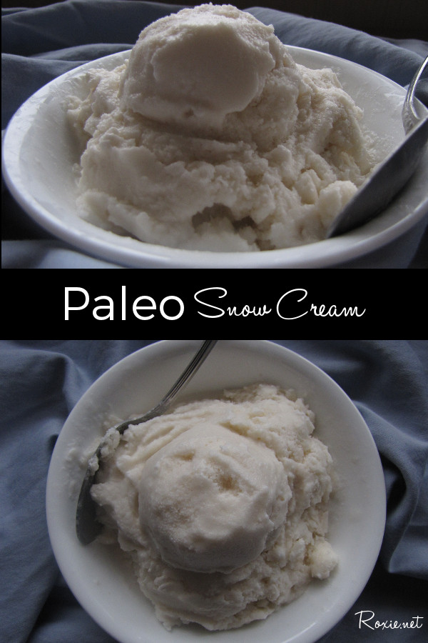 Paleo Snow Cream - Roxie.net