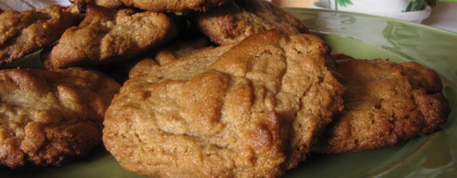 Spiced Almond Butter Cookies, Paleo, Gluten Free, Dairy Free, Refined Sugar Free, Egg Free - Roxie.net